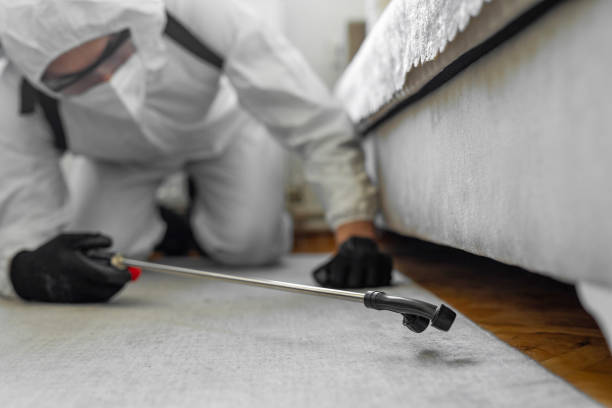 Professional Termite Control technician working in St. Augusta, MN