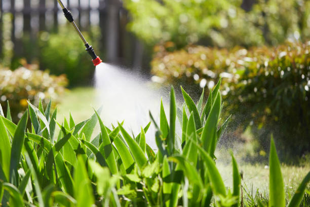 24/7 Emergency Termite Control experts in St. Augusta, MN